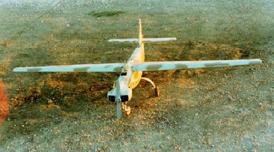 dragonfly_2000.jpg