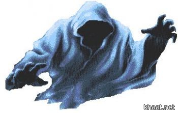 2475.jpg