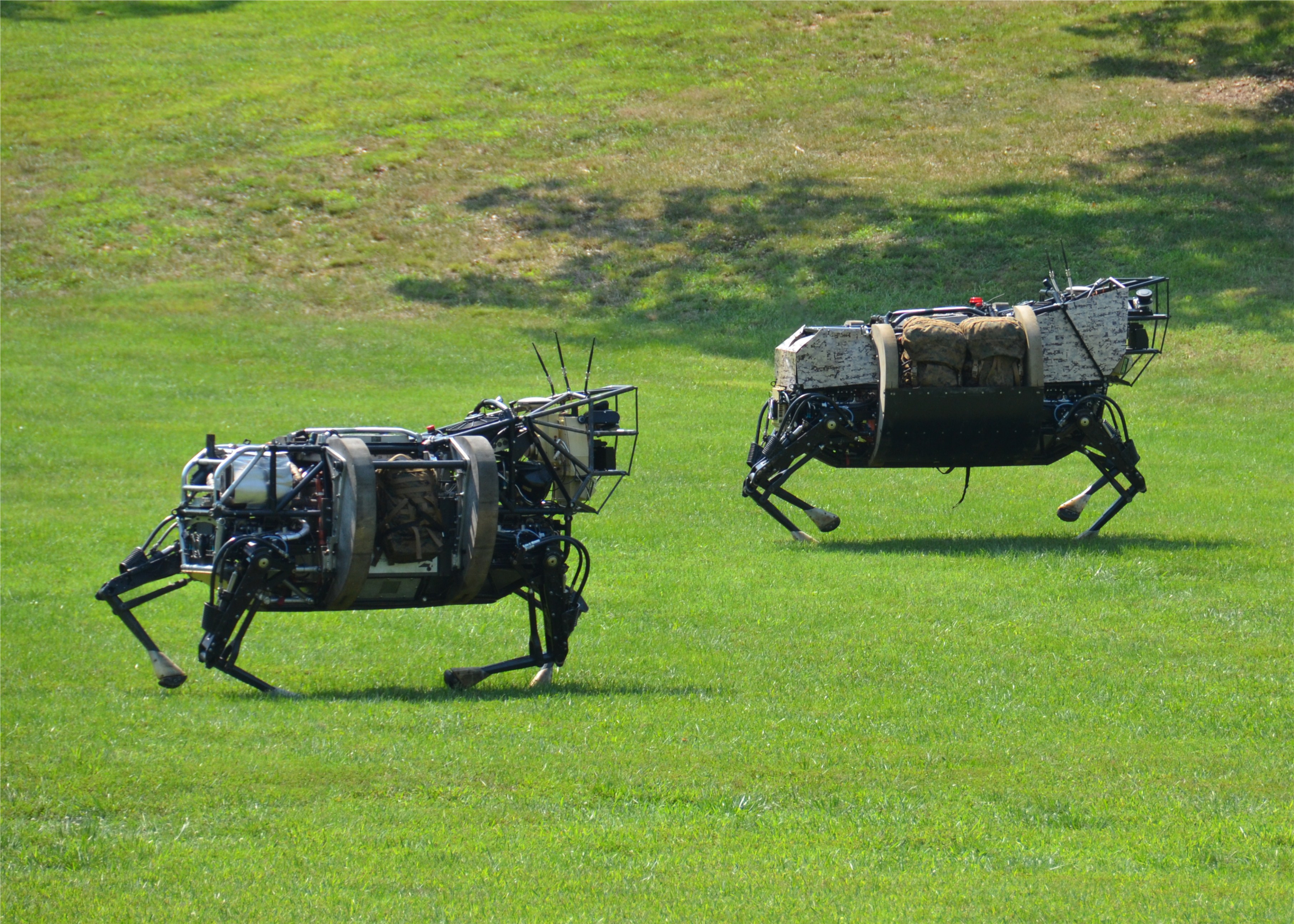 ls3-2running.JPG