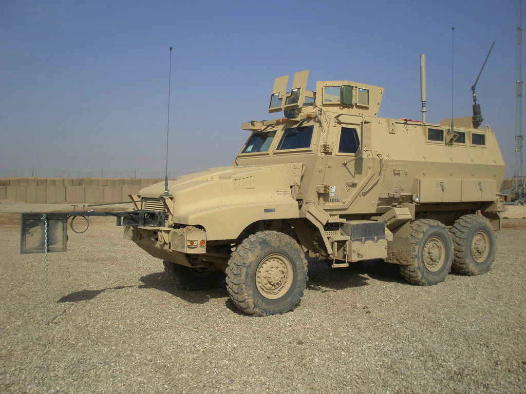 caiman_09.jpg