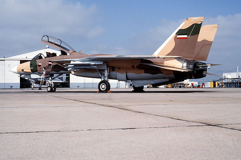 800px-Tomcat-IR.jpg