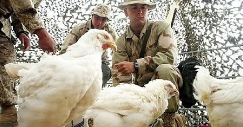 www.warhistoryonline.com