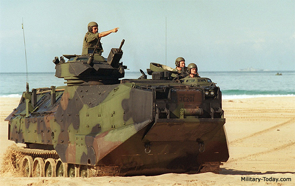 aav7.jpg