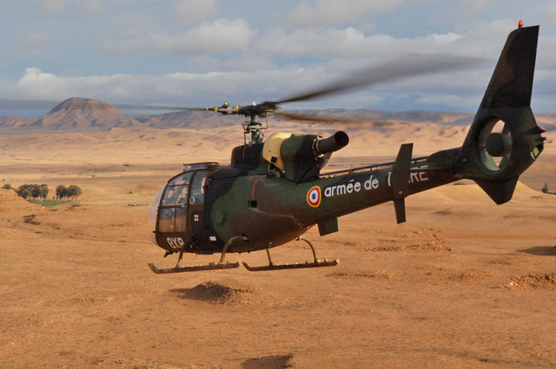 Gazelle-Afrique_MA.jpg