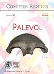 www.sciencedirect.com