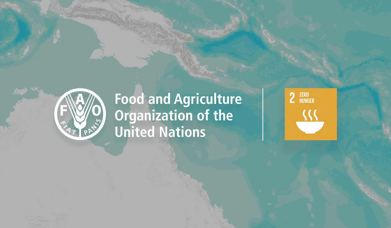 www.fao.org
