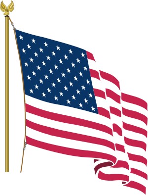 USA%20Flag.jpg