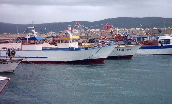 صيد بحري : إطلاق عملية واسعة لصيانة السفن بأسعار تنافسية