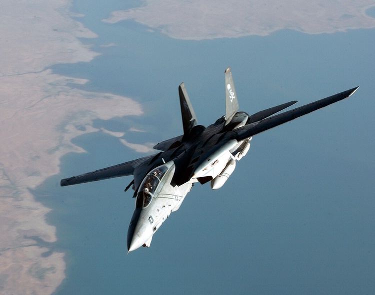 f-14_91.jpg