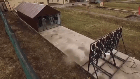 giphy.gif