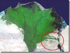ar.wikipedia.org