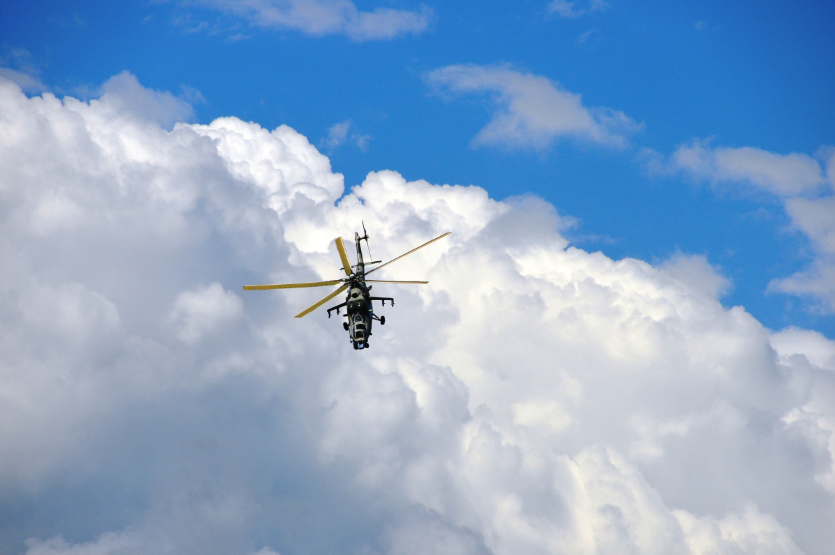 ds2_2933.jpg