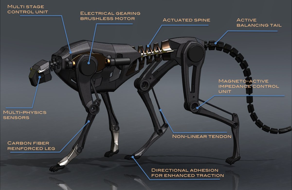 cheetah-robot1.jpg