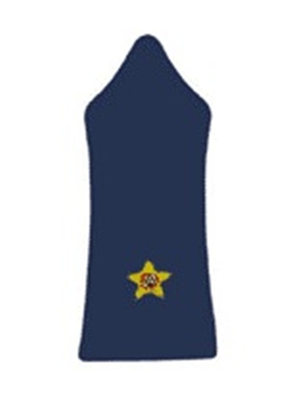 Lebanese-army-insignia-Second-Lieutenant.jpg