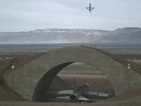 giphy.gif