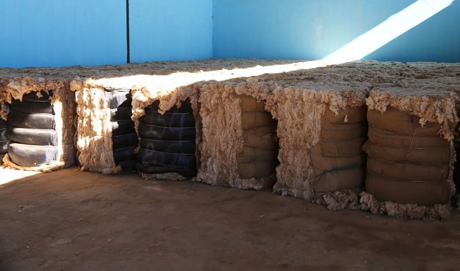 www.algerie-eco.com