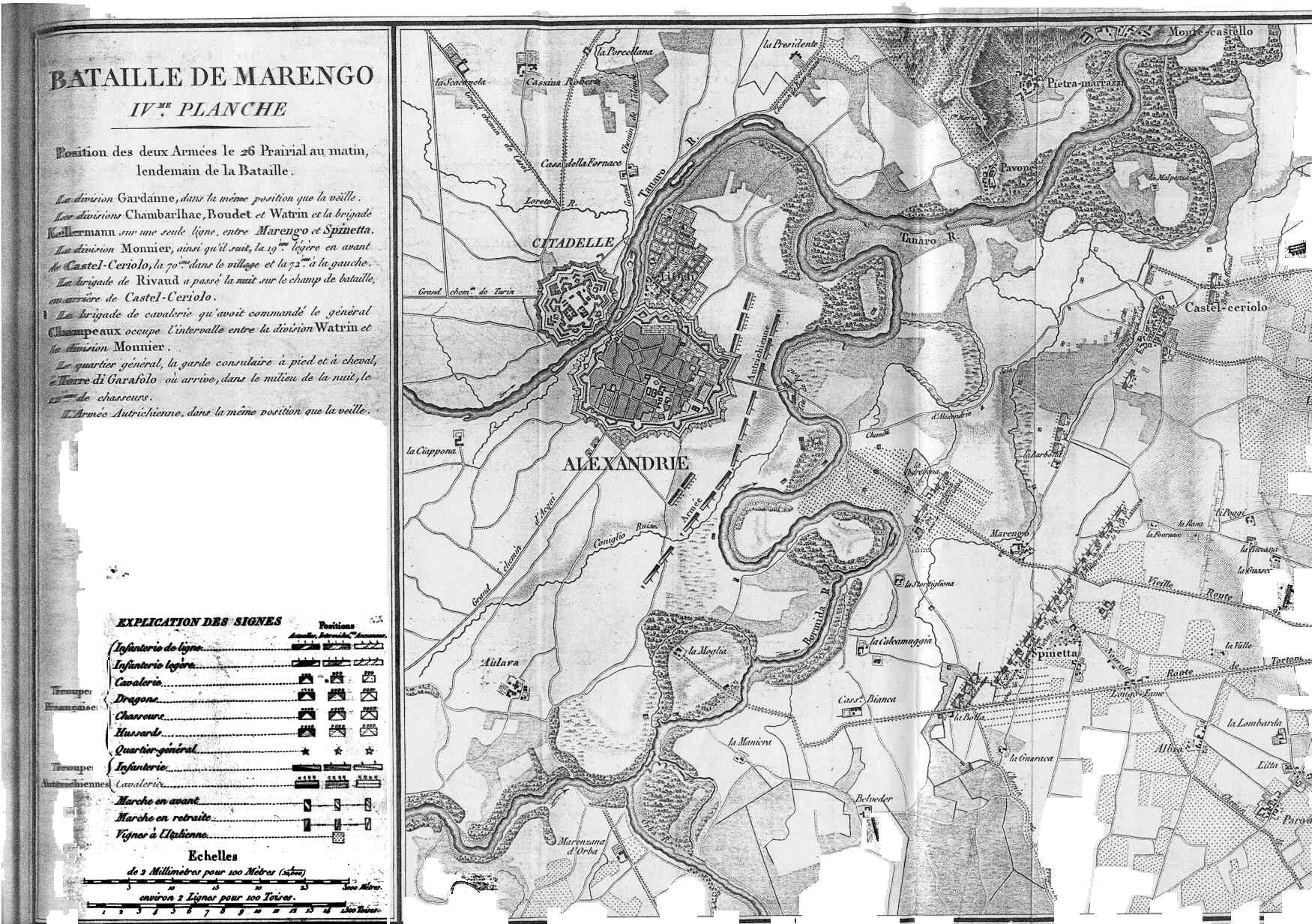 marengo4.jpg
