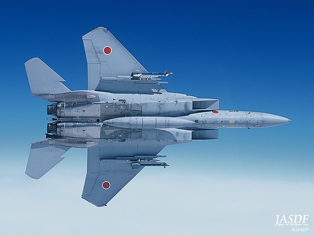 AIR_F-15J_Underside_lg.jpg