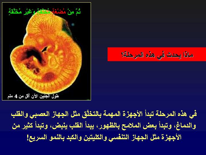 slide217.jpg