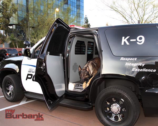 New-K-9-Tahoe-1.jpg