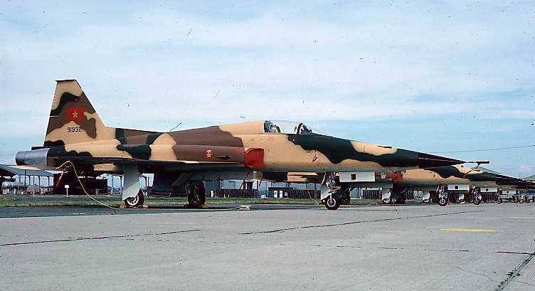 F5_tiger_ll_morocco.jpg