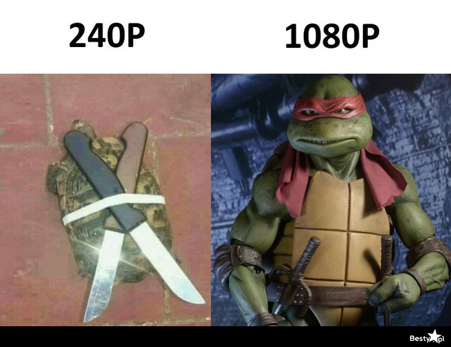 3862369.jpg