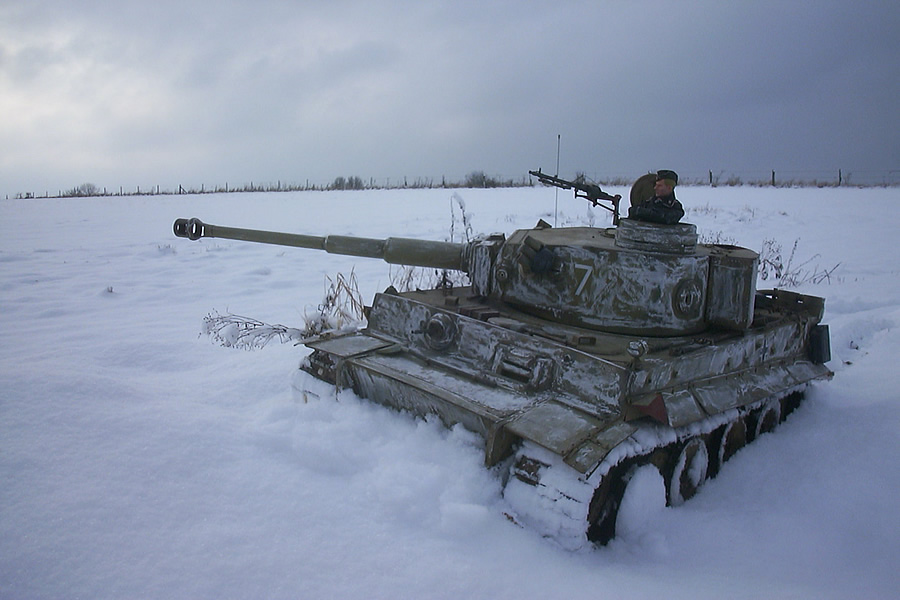 tiger-1-snow-3248b.jpg