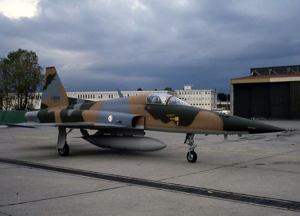 Northrop-F-5E-Tunisie_AFP.jpg