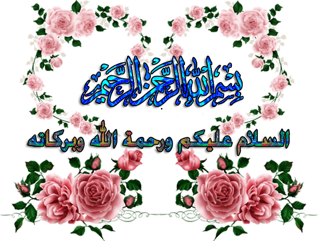 13666198671047.gif