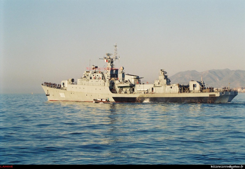 91351710.jpg