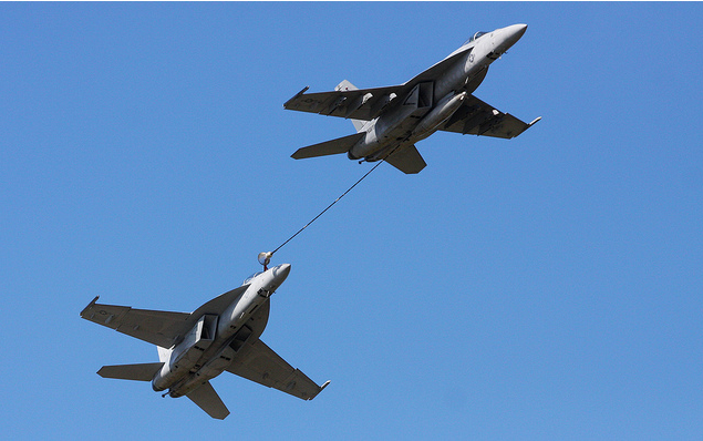 hornet+rhino.png