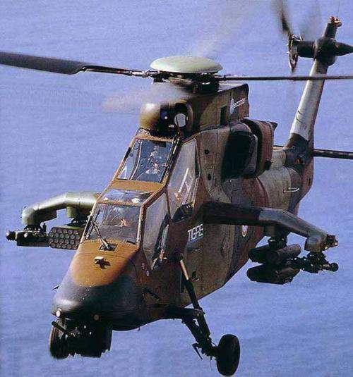 tiger6.jpg