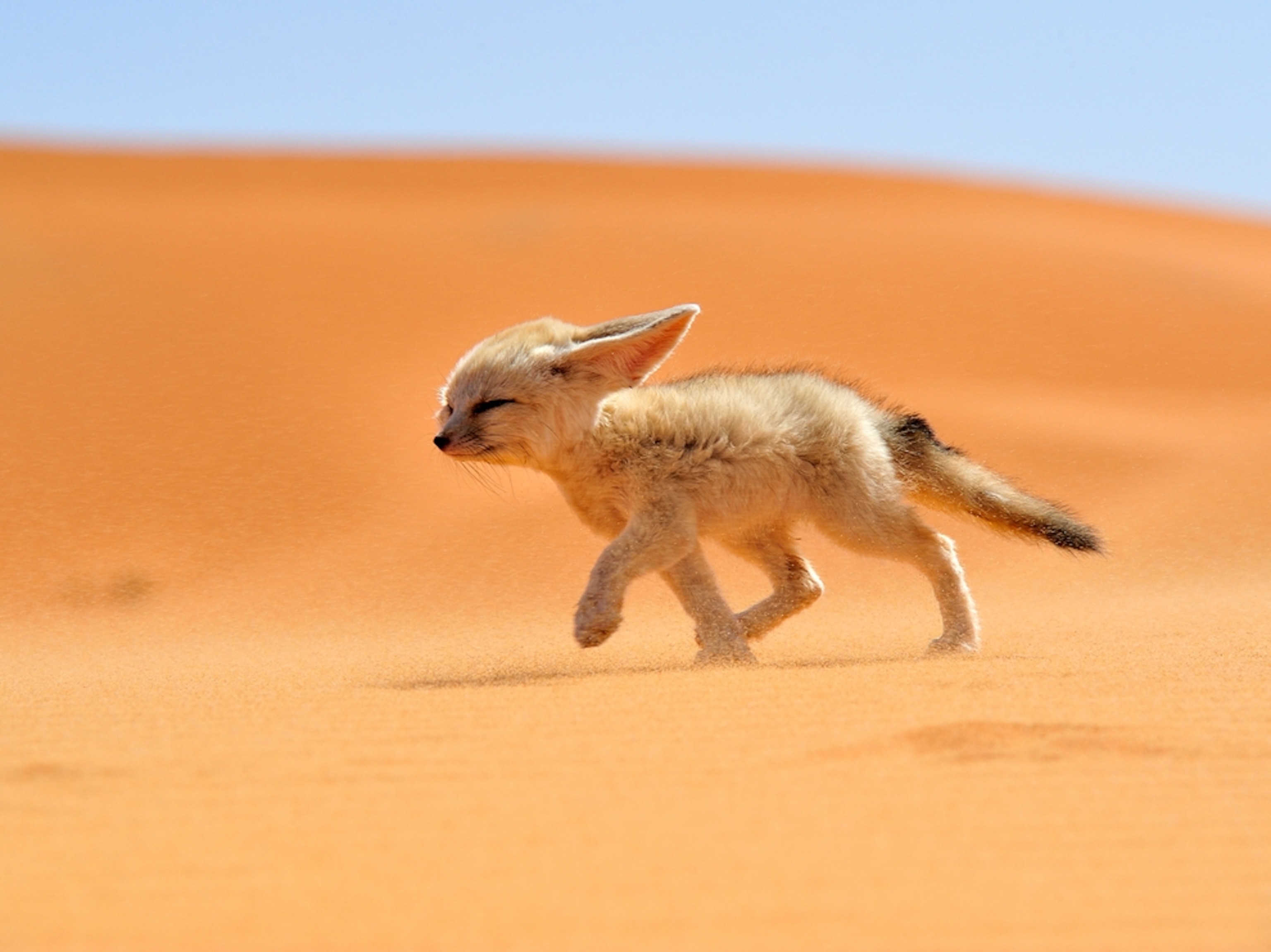 www.nationalgeographic.com