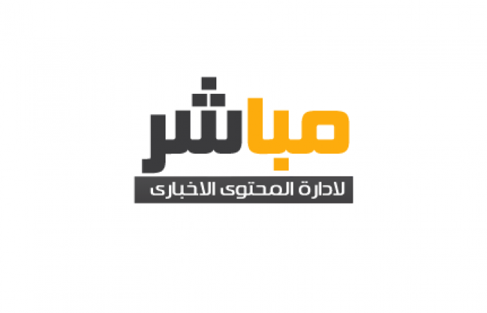 www.pagearab.net