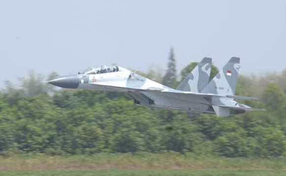 Tni-au_su-30_1.jpg