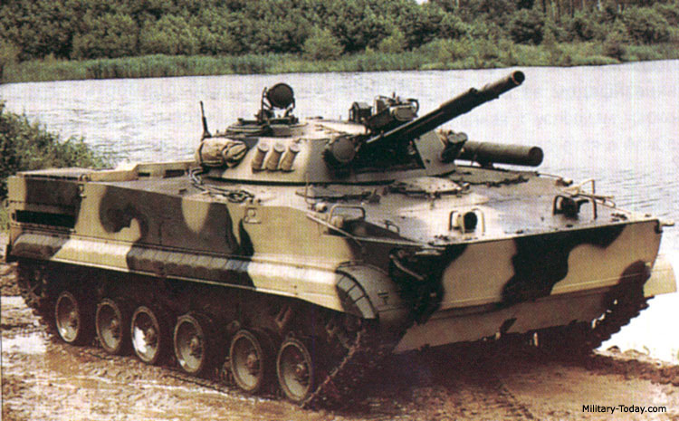 bmp_3_l1.jpg