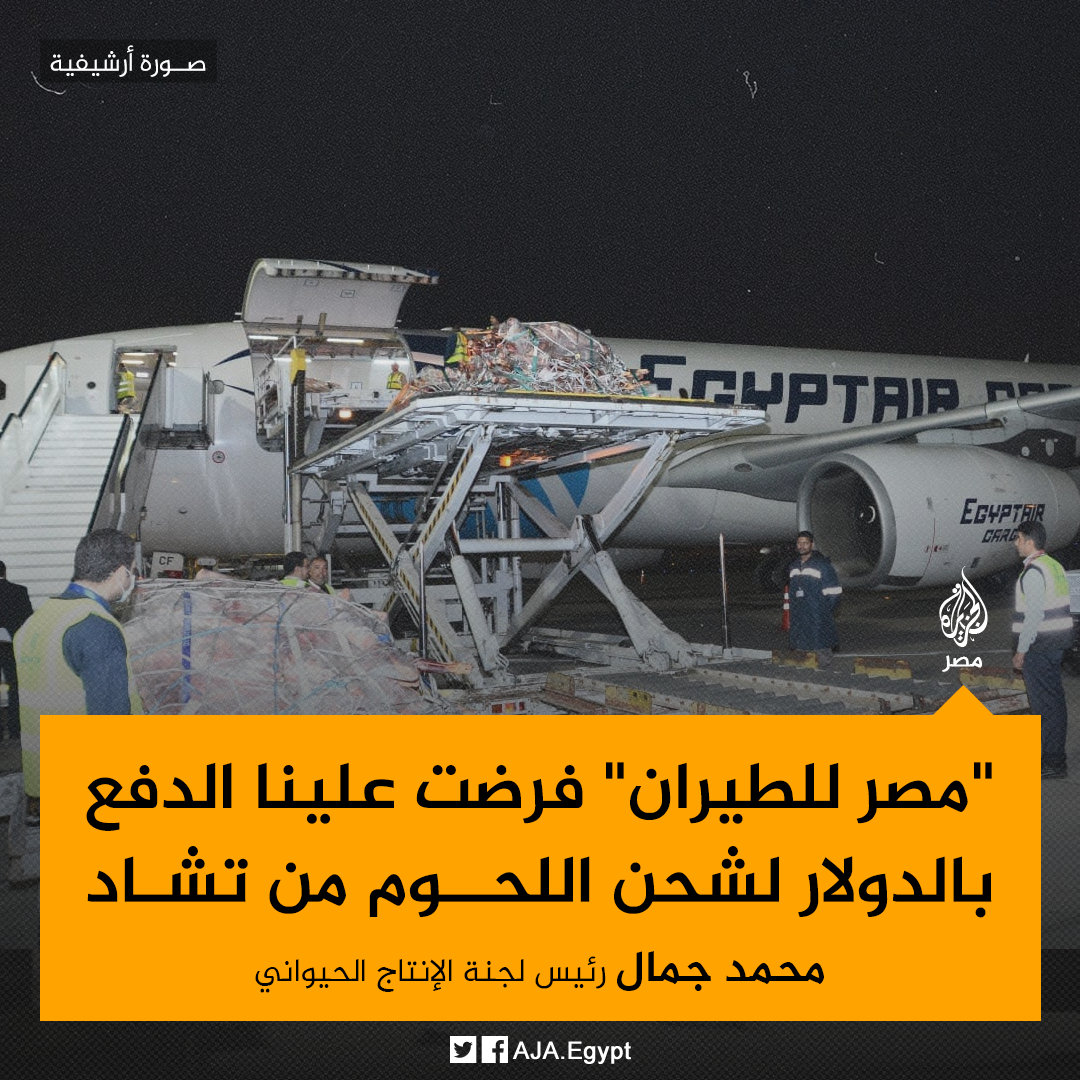 May be an image of ‎3 people, outdoors and ‎text that says '‎صورة أرشيفية SCHT EGYPTAIR مصر مصر للطيران فرضت علينا الدفع بالدولار لشحن اللحوم من تشاد محمد جمال رئيس لجنة الإنتاج الحيواني AJA.‎'‎‎