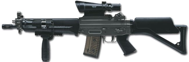 sig_sg551_swat.jpg