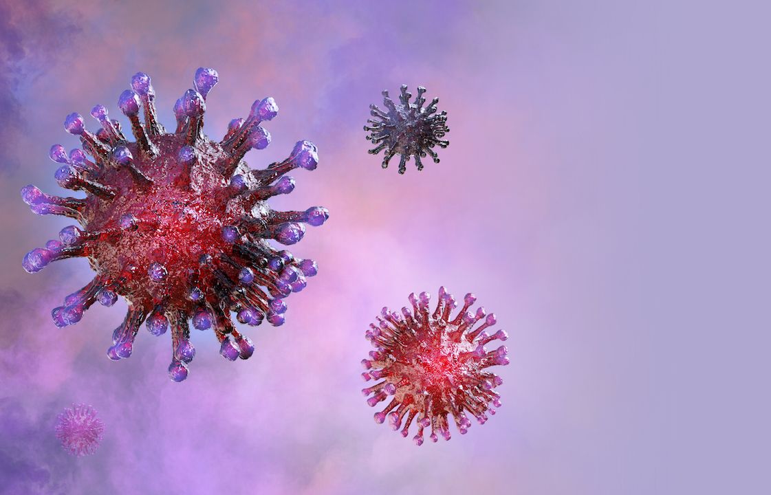 www.livescience.com