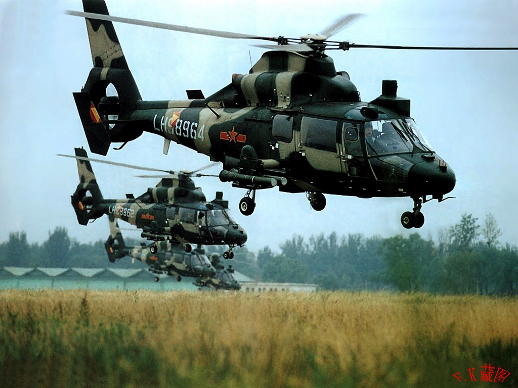 elicc3b3pteros-de-guerra-china.jpg