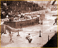 43421_44m.jpg
