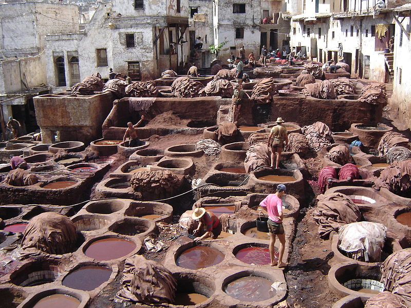 800px-Fes_tannery_2.JPG