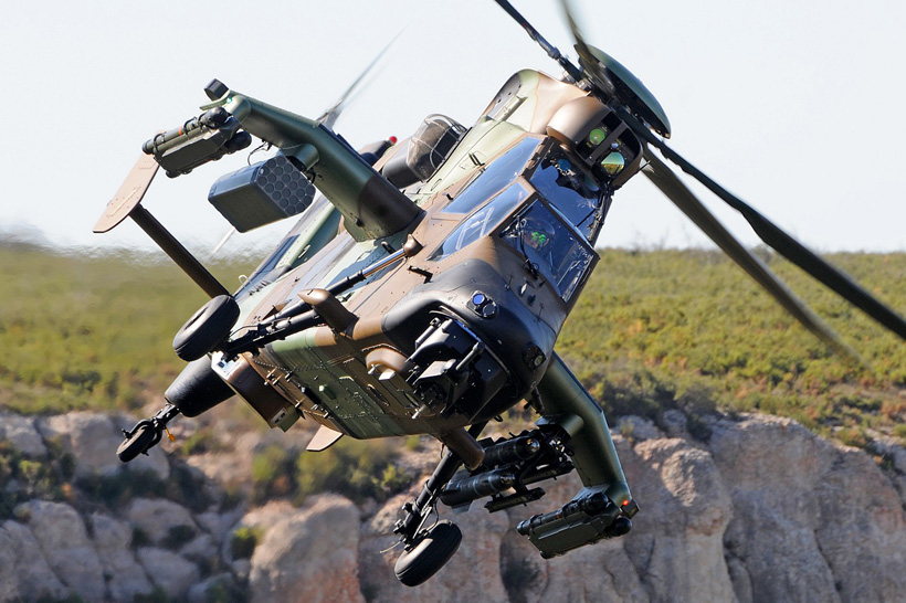 TIGR279p.jpg