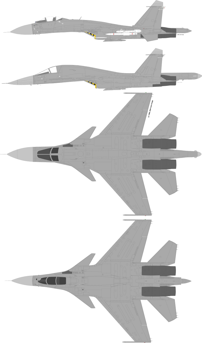 Su-32FN+Su-30MK-1.png