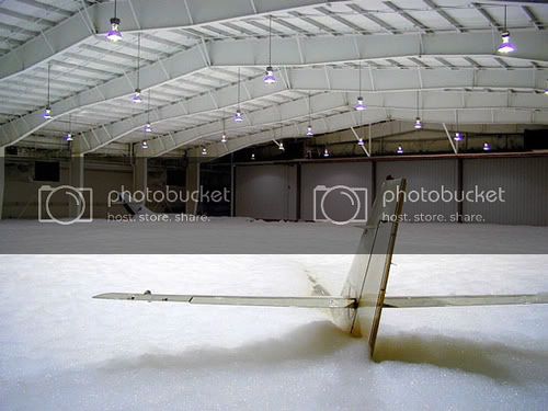 pla1.jpg