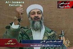 osama%20al%20jazeera.JPG