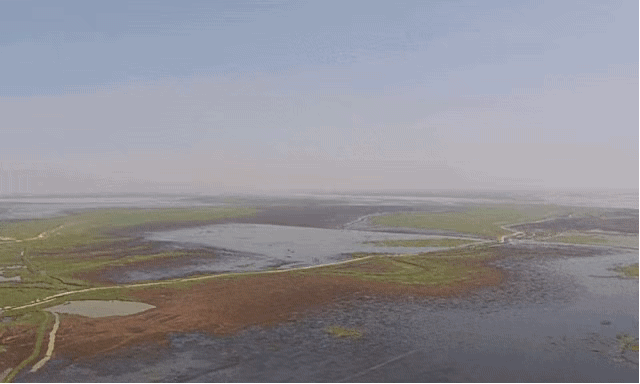 49eca83dgy1fwsbrzjcbwg20hs0aoquw.gif