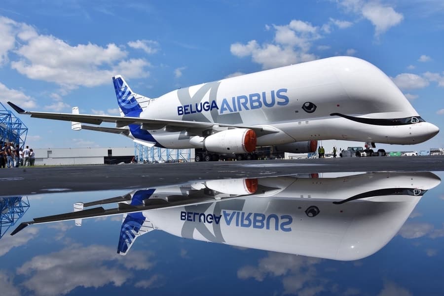 BelugaXL-full-livery.jpg