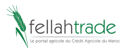 www.fellah-trade.com