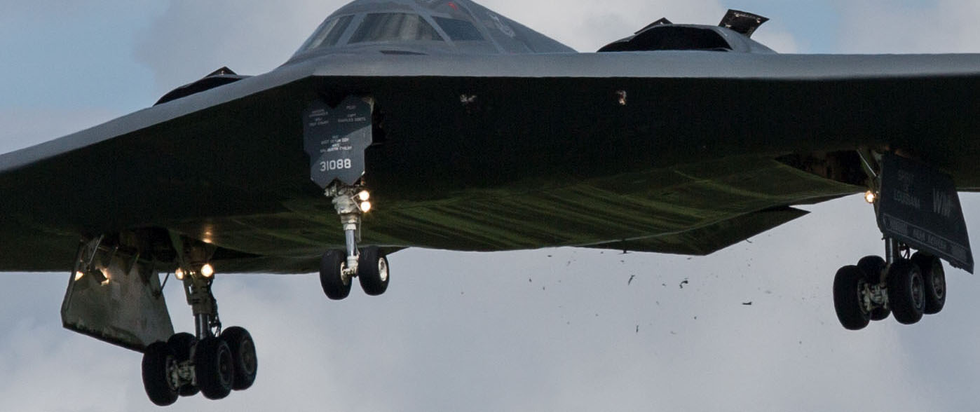 B-2-bird_strike.jpg